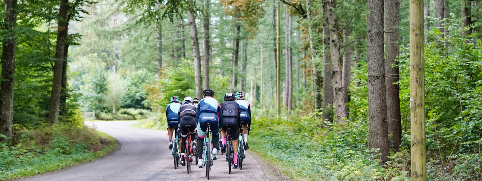 Coureurs cyclistes en échappée sur une route de campagne